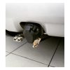 indeflate spare wheel valve extension 002. Indeflate Spare Wheel Valve Extension