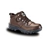 dot brown hiker safety shoe 001. Dot Hiker Safety Shoe - Various