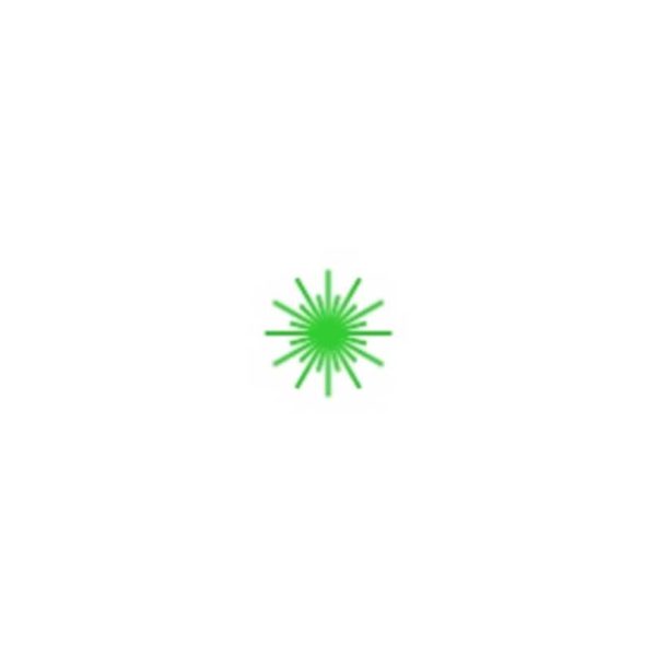 holosun-ls221g-007. Holosun LS221G Co-aligned Visible Green and IR Laser/Laser Designator/Military