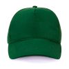 5-panel-plain-superior-cap---bottle-001. 5 Panel Plain Superior Cap - Various
