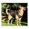 alpk9bulproof-000-alpha-k9-bulletproof-level-iiia-. Alpha K9 Bulletproof Level IIIA Vest