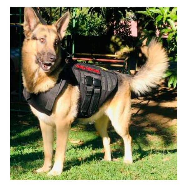 alpk9bulproof-000-alpha-k9-bulletproof-level-iiia-. Alpha K9 Bulletproof Level IIIA Vest
