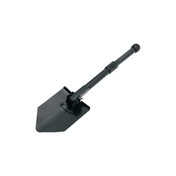 COG9725#1.jpg. COG9725#1