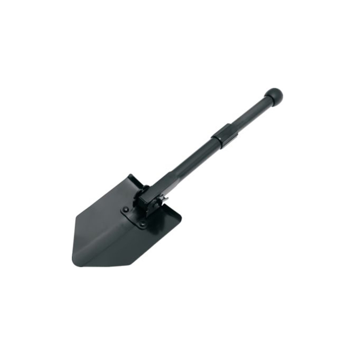 COG9725#1.jpg. COG9725#1